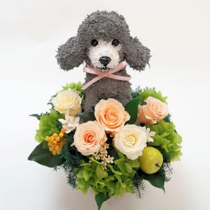 プリザーブドフラワー犬 トイプードル cute 結婚祝い 誕生日 ギフト