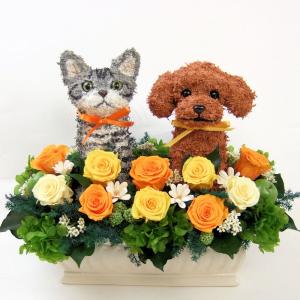プリザーブドフラワーアレンジ 犬と猫 プードルとアメリカンショートヘア お祝い花 ウェルカムドール 結婚祝い