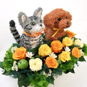 プリザーブドフラワーアレンジ 犬と猫 プードル...の詳細画像2