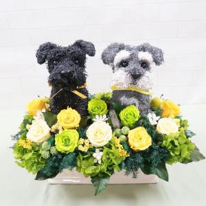 ウェルカムドール・シュナウザーP プリザーブドフラワーアレンジ犬 結婚祝い ウエディング ギフト プレゼント