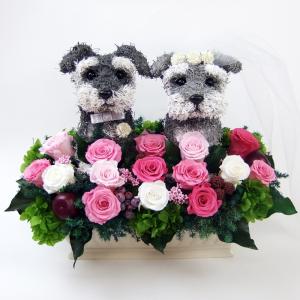 ウェルカムドールベール付き　シュナウザーのトピアリープリザーブドフラワーC 犬 結婚祝い ウエディング ギフト プレゼント