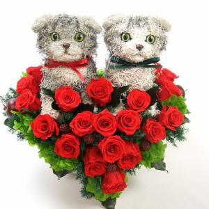 スコティッシュフォールド 猫のウェルカムドール ハートのプリザーブドフラワー ウェディング 結婚祝いに