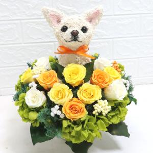 プリザーブドフラワー犬 トイプードル Beauty 結婚祝い 誕生日 ギフト