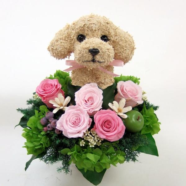 プリザーブドフラワー犬 トイプードル pretty 動物トピアリー 結婚祝い 誕生日 ギフト プレゼ...