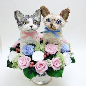 ウェルカムドール猫　セレクト