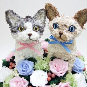 ウェルカムドール猫 セレクトの詳細画像1