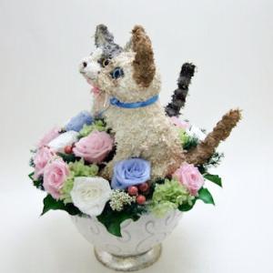 ウェルカムドール猫 セレクトの詳細画像2
