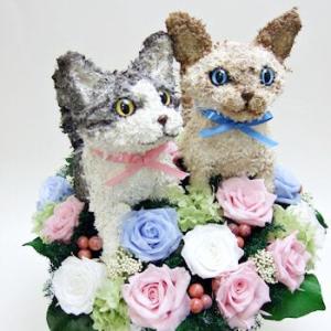 ウェルカムドール猫 セレクトの詳細画像4