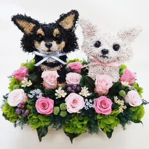 ウェルカムドール ロングコートチワワ 結婚式用 プリザーブドフラワー犬 結婚祝い ウエディング ギフト プレゼント