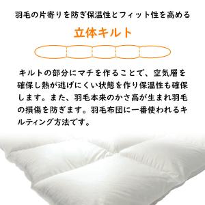 羽毛肌掛け布団 ダウンケット シングル ロング...の詳細画像5