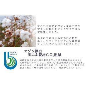 ラッピング付き 今治タオル ギフト 手摘みコッ...の詳細画像3
