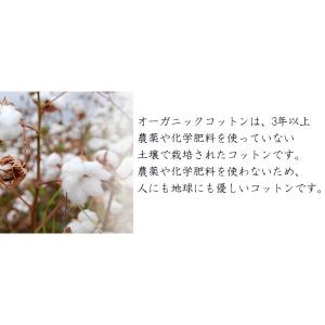 今治タオル オーガニックコットン フェイスオル...の詳細画像2