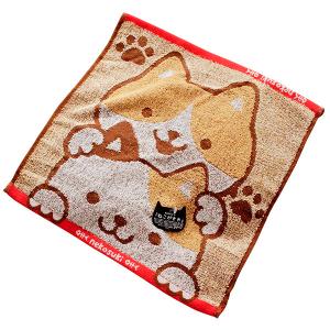 ねこがすき ウォッシュタオル ハンドタオル ハンカチ ねこ ネコ 猫 かわいい 動物 三毛猫 綿100 保育園 幼稚園 入園 祝い 新学期 入園準備 Tl Lk128h Ifuton Works 通販 Yahoo ショッピング
