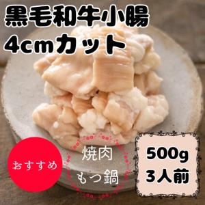 2袋セット 】 発酵本家の味噌汁 83.5g 約10食分 和心本舗 インスタント