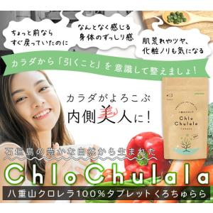 クロレラ 無添加 サプリ 八重山クロレラ 10...の詳細画像2
