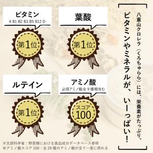 クロレラ 無添加 サプリ 八重山クロレラ 10...の詳細画像5
