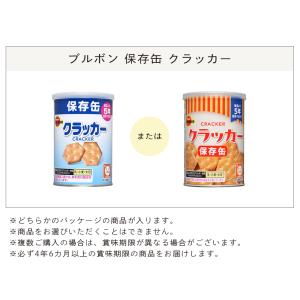 5年保存 缶入ミニクラッカー(キャップ付)(単...の詳細画像3