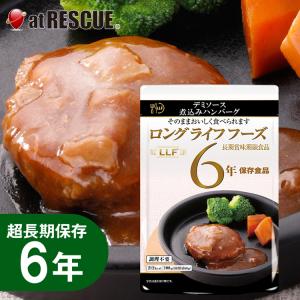 長期保存食 デミソース煮込みハンバーグ（100g）LLC LLF ロングライフフーズ レトルト 非常食｜atrescue