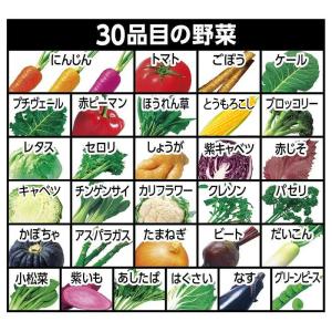 カゴメ野菜ジュース「野菜1日これ1本」長期保存...の詳細画像2