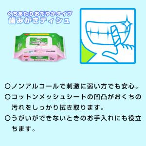 清潔ケア1ヵ月セット健康二次被害予防に 防災グ...の詳細画像2