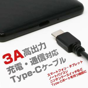 Type-Cケーブル 50cmケーブル長 最大...の詳細画像1