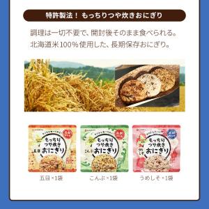 非常食セット パンとご飯 21食 1週間分(O...の詳細画像5
