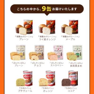 非常食 セット パンと野菜の 保存食セット(全...の詳細画像3