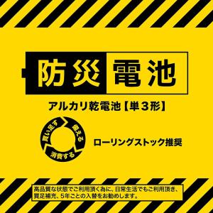 防災電池 単3形 【40本パック】 超長期保存...の詳細画像3