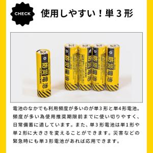 防災電池 超長期保存(単3形・4本パック)電池...の詳細画像5
