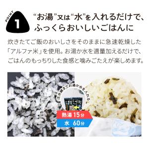 (21食セット) 尾西の携帯おにぎり おまけ付...の詳細画像3