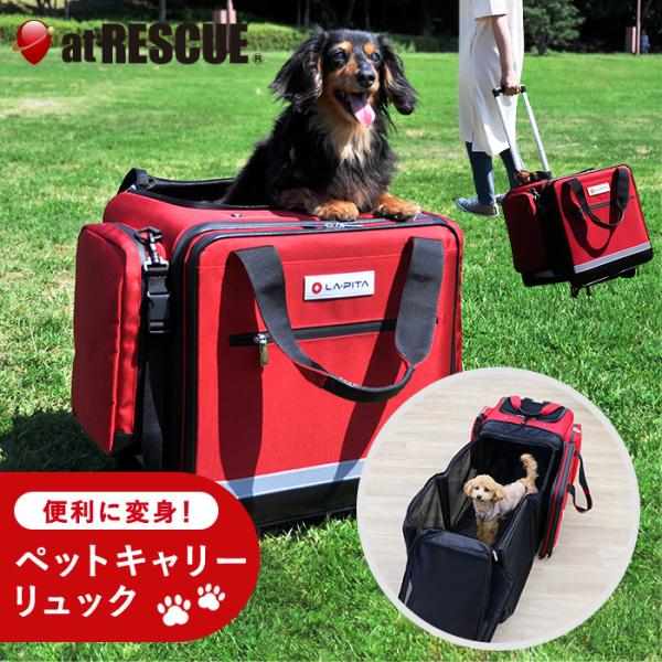 （7,000円以上購入者限定 30%off！）ペットリュック 運べるお部屋  キューブroom【犬 ...