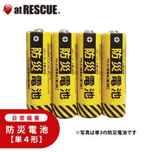 防災電池 超長期保存(単4形・4本パック)電池 ...の商品画像