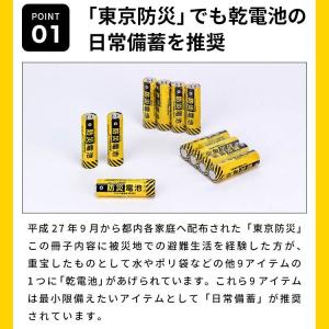 防災電池 超長期保存(単4形・4本パック)電池...の詳細画像4