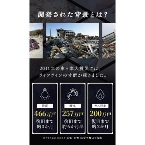 非常食おにぎり食べくらべ12食セット【送料無料...の詳細画像5
