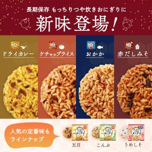 新味登場! もっちりつや炊きおにぎり単品 ドラ...の詳細画像1
