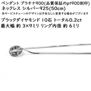 プラチナ ネックレス メンズ ペンダントトップ...の詳細画像2
