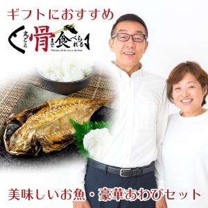 丸ごと骨まで食べられる 焼き魚 殻付あわび煮貝 おつまみ 詰め合わせ あじ さんま さば アワビ 鮑 貝柱 つぶ貝の商品画像