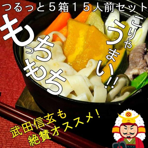 山梨のお土産　名物　ほうとう　３食　５箱セット 15人前 山梨名産 送料無料 セール SALE