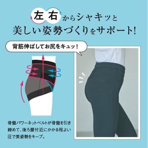 ガードルショーツ 骨盤ショーツ 一枚履き パワ...の詳細画像2