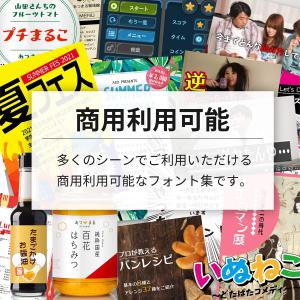 フォント ソフト 日本語フォント 75種類 永...の詳細画像2