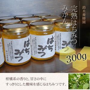 クロガネモチ蜂蜜300g 国産はちみつ 完熟はちみつ 100%純粋 ハチミツ