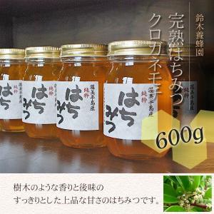 クロガネモチ蜂蜜 600g 国産はちみつ ハチミツ 蜂蜜 生産者直送 100