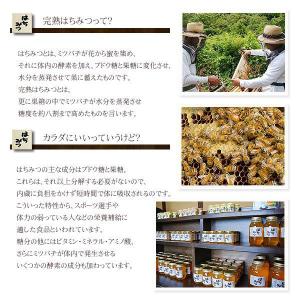 クロガネモチ蜂蜜 1200g 国産はちみつ 蜂...の詳細画像1