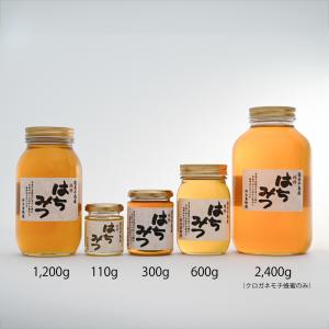 クロガネモチ蜂蜜1200g 国産はちみつ ハチ...の詳細画像2