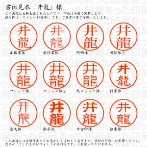 認印6 井龍 様の詳細画像1