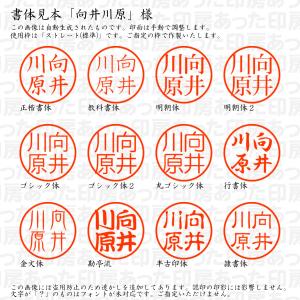 認印6 向井川原 様の詳細画像1