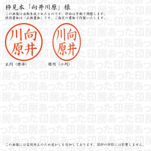 認印6 向井川原 様の詳細画像2