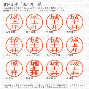 認印6 城土井(じょうどい) 様の詳細画像1