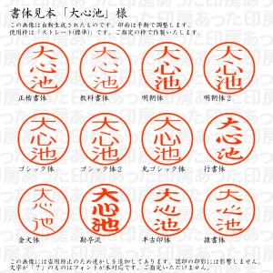 認印6 大心池 様の詳細画像1