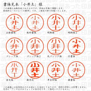 認印6 小井土(おいど・こいつち・こいづち) 様の詳細画像1